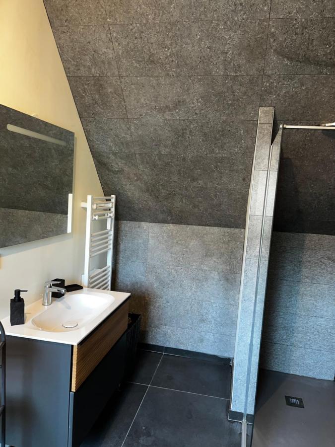 Duplex Shade of Grey avec Spa - Jaccuzi et Sauna Privatif Fontenoy  Extérieur photo